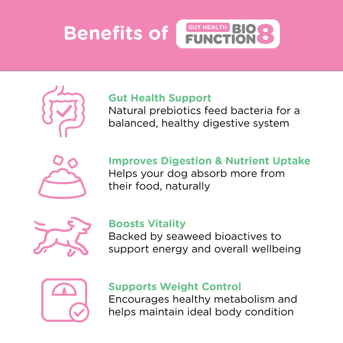 Infographic showing BioFunction8 benefits — supports gut health, improves digestion and nutrient uptake, boosts vitality, and helps weight control.
