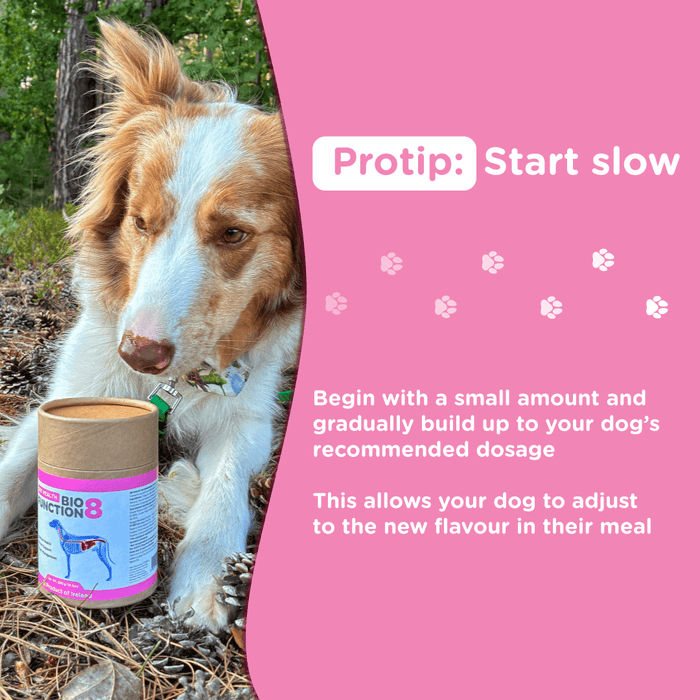 Lifestyle image of a dog with BioFunction8 tub beside it, captioned “Protip: Start Slow,” advising gradual introduction to meals.