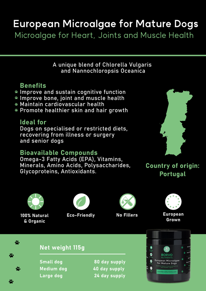 Borvo Nutrients European Microalgae for Mature Dogs — high in omega-3, antioxidants, amino acids, and vitamins for vitality and recovery