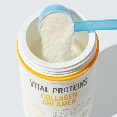 Open container of Collagen Creamer - Vanilla | Vital Proteins with a blue scoop filled with the cream-colored powder held above it, showcasing the product's texture and appearance.