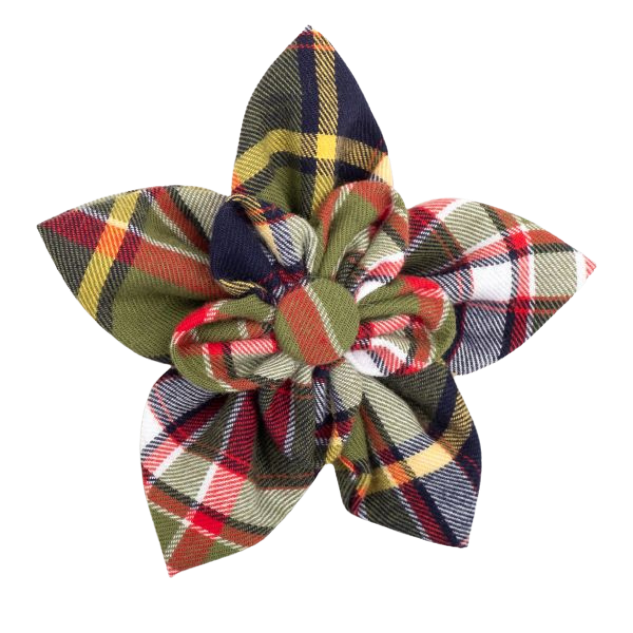 DOG-COLLAR-SLIDER-FLOWER-DARK-OLIVE-PLAID